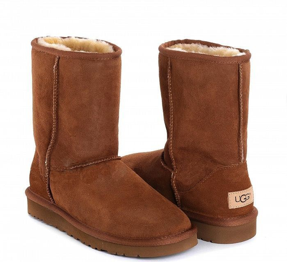 Chestnut uggs short hot sale