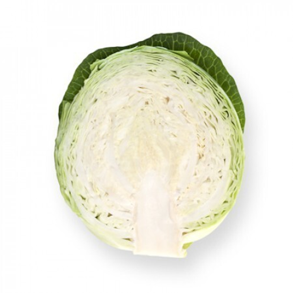 Ориема F1 семена капусты белокочанной (Rijk Zwaan / Райк Цваан)