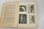 "Этюды оптимизма : С портр. автора и 27 рис". 1917г.