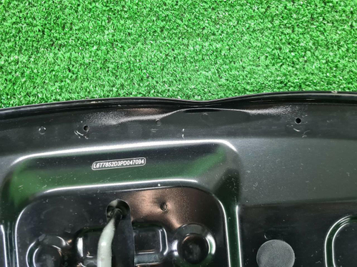 Капот Geely Tugella (2019-н.в.)
