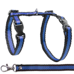 Комплект шлейка и поводок для кошек "Мегаполис", 400*300*85мм; 10*1500мм, Gamma