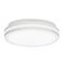 Светильник накладной Citilux LUNS CL711010V