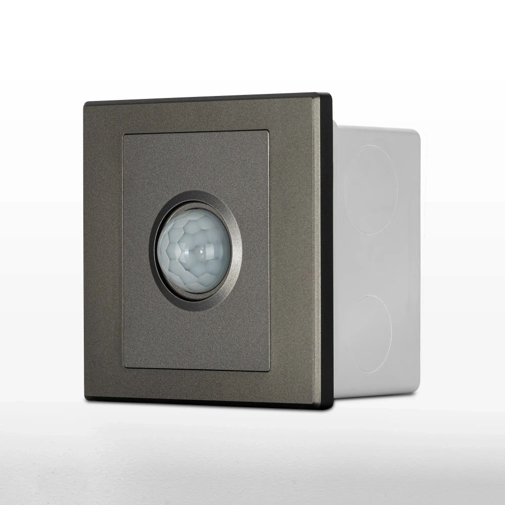 Citilux Скалли CLR005KS1 Встраиваемое реле с датчиком движения Графит