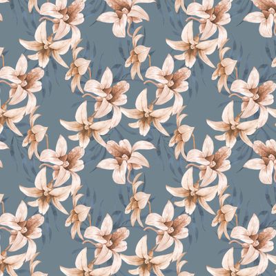 монохромные орхидеи