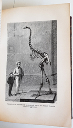 "Эволюция мира. Werden und vergehen. Том 2". Карус Штерне. 1909 г.