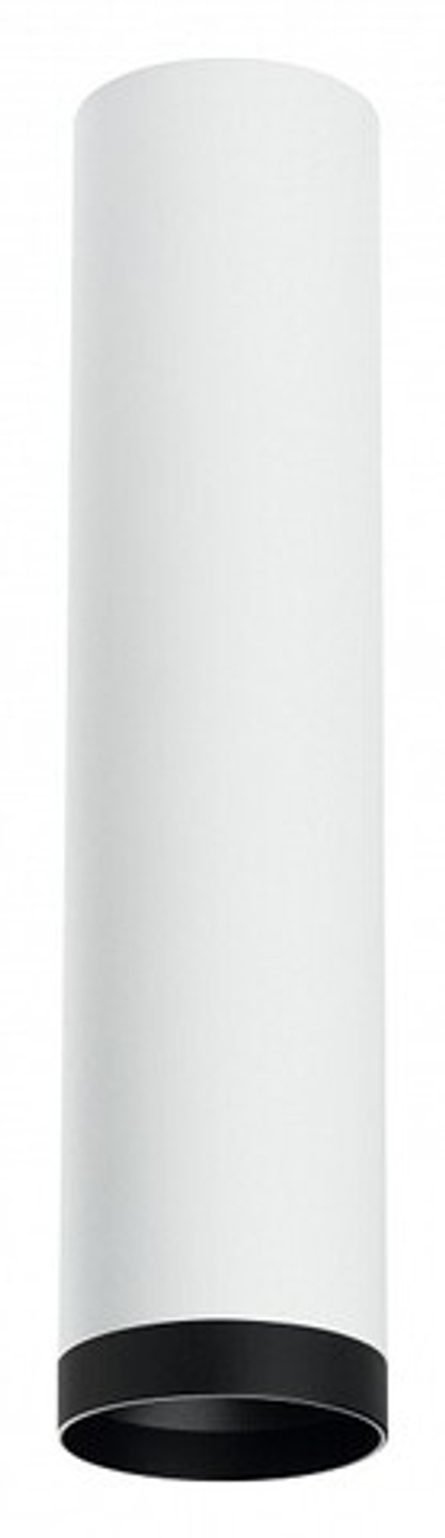 Накладной светильник Lightstar Rullo R4963437