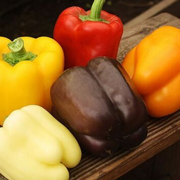 СЕМЕНА ПЕРЦЕВ