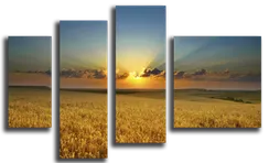 Модульная картина "Летний закат"