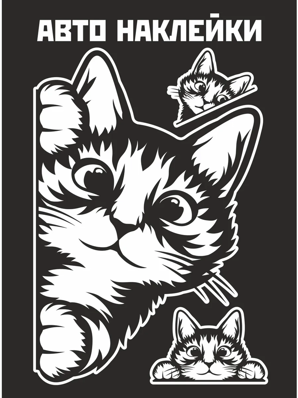 Наклейка на авто выглядывающий котик