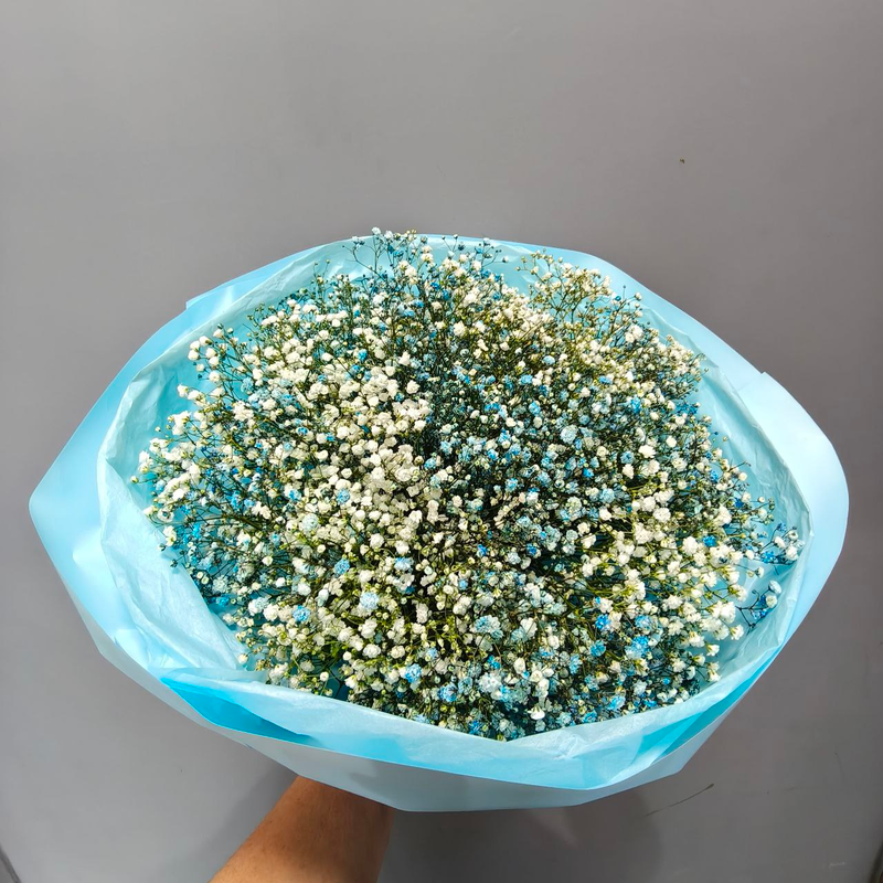 Букет из голубой и белой гипсофилы (17 шт)