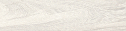 Polo White Керамогранит белый K952690R0001LPET 20х80