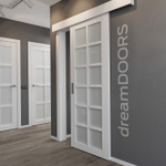 Дверь-купе WALES