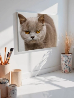 Картина на стену 40 X 50 Кот