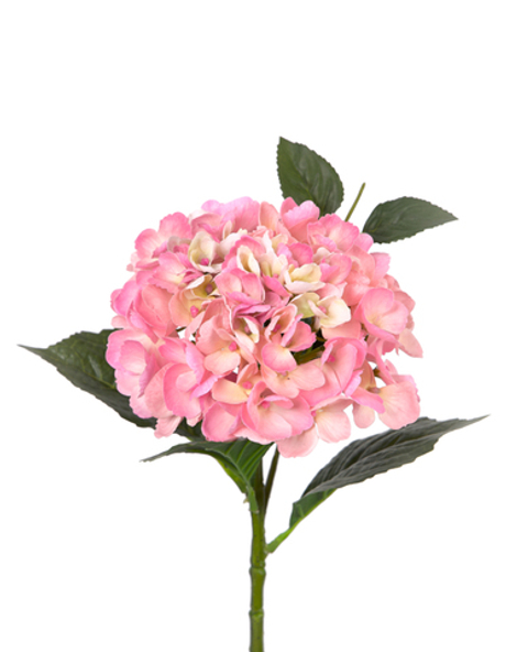 Гортензия крупнолистная small на стебле - Темно-розовый