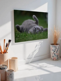 Картина на стену 40 X 50 Кот