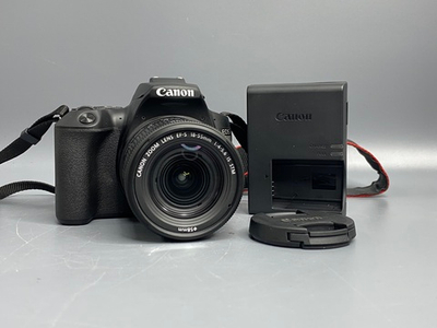 Canon 250D Kit 18-55mm 4-5.6 IS STM 1.000 кадров