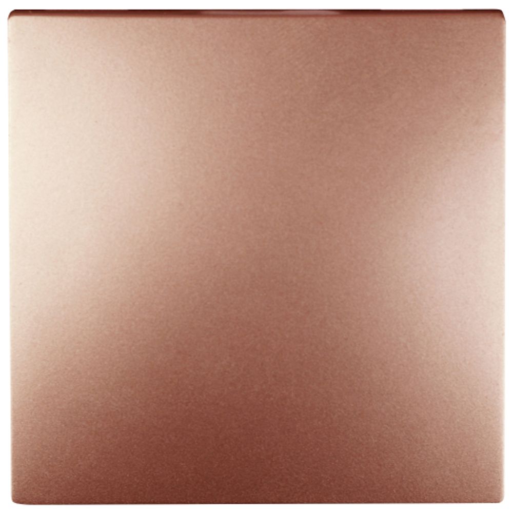 12-1111-14 ЭРА Кнопка, 10АХ-250В, Эра12, медь | Эра 12 Медь