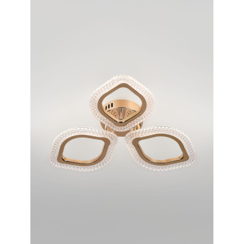 Светильник потолочный светодиодный Rivoli Erminia 6177-703 LED 36Вт 3000-6000К с пультом | Rivoli