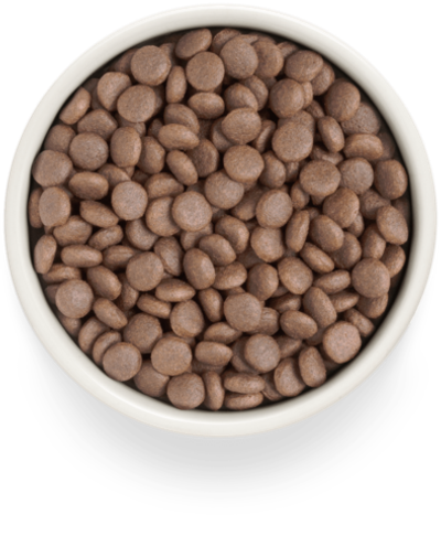 Grandorf Fresh Dog Potato корм сухой беззерновой для собак средних и крупных пород индейка,батат