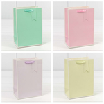 Пакет подарочный 14х20х8см Премиум однотонный в рамке (Микс)