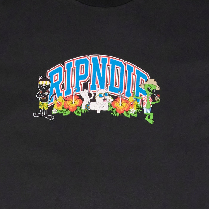 Футболка мужская Ripndip Summer Friends Tee артикул:RND10097 - купить в магазине Дайс