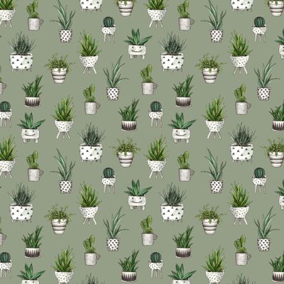 Cute house plants on a khaki backdrop. Домашние растения на фоне цвета хаки