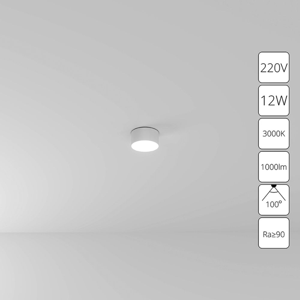 Потолочный светильник Arte Lamp