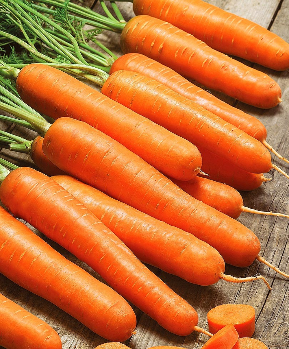 Морковь Лагуна F1  0,5г Мировые Семена VITA GREEN