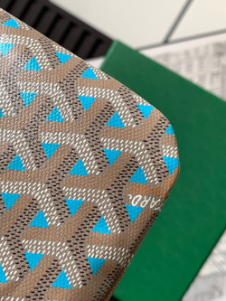 Goyard Poitiers Claire-Voie Bag