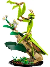 Конструктор Ideas 21342 Коллекция насекомых