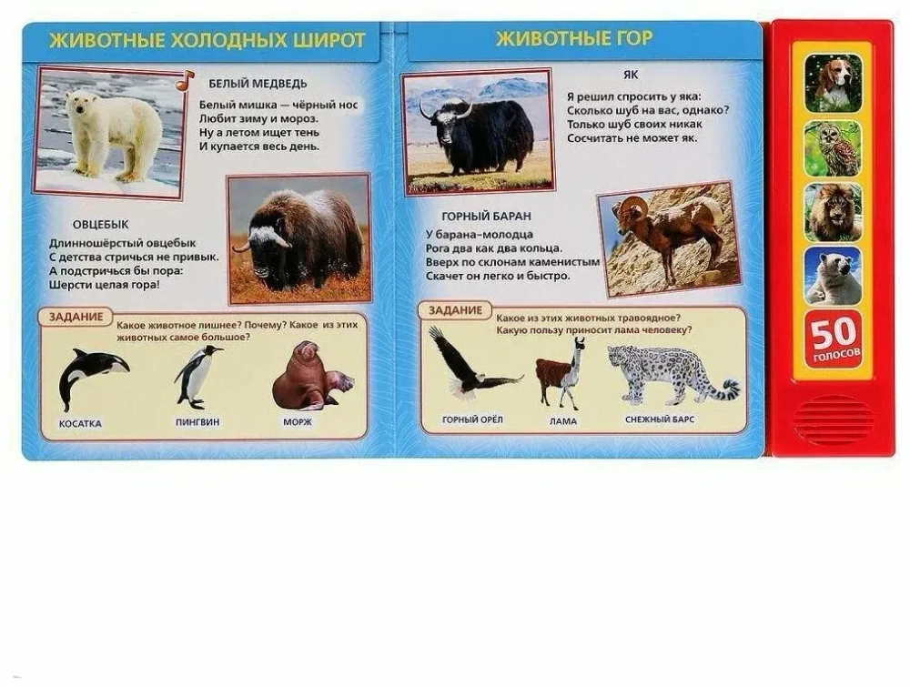 Музыкальная книжка "50 голосов животных"