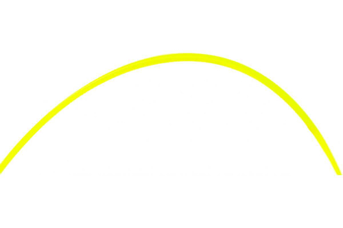 Корд триммер (леска) 1,6мм, 15м Champion звезда