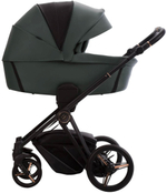 Детская коляска Bebetto Monti Pro 2 в 1 02 Stella т.зеленая кожа