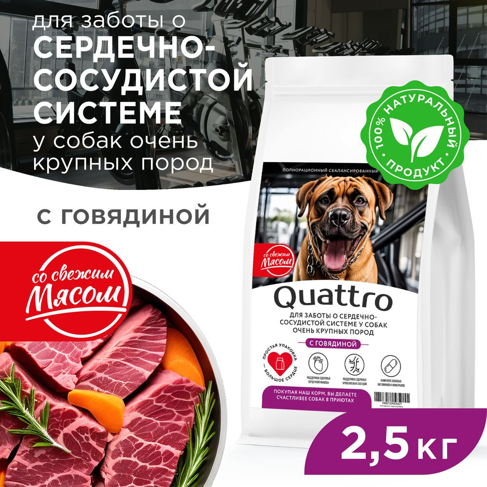 Корм сухой для взрослых собак очень крупных пород, премиум полнорационный комплекс, для заботы сердечно-сосудистой системы, с говядиной, 2,5 кг, QUATTRO