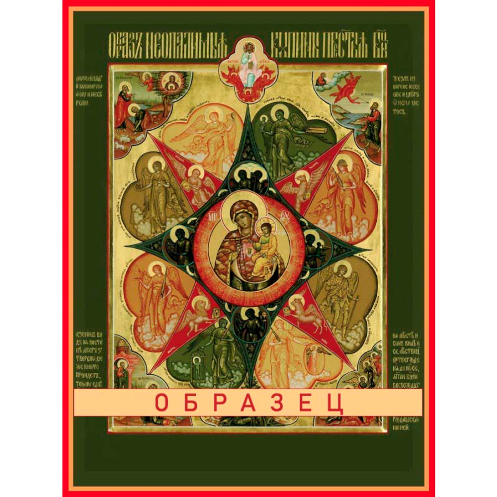 Неопалимая купина икона Божией Матери БМ-41 (бм/Н/5/2)