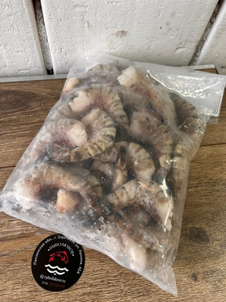 Креветка тигровая 16/20