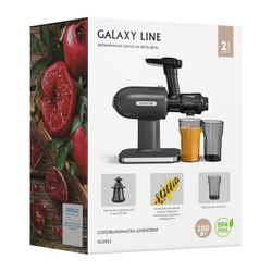 Соковыжималка шнековая Galaxy Line GL0813