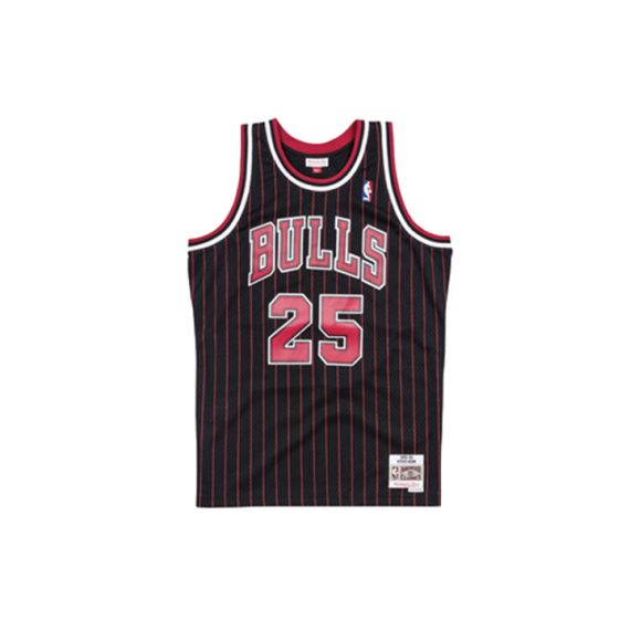 Mitchell &amp; Ness SW NBA 95-96 25