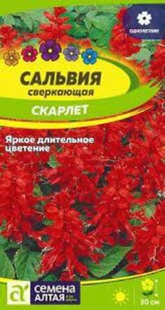 САЛЬВИЯ