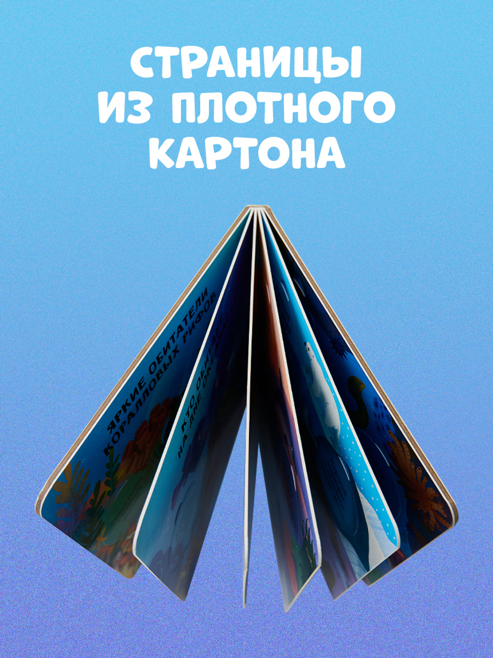 Книжка с окошками. Океаны и моря. Энциклопедия с окошками