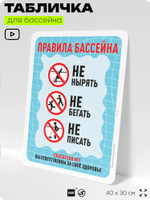 Табличка для бассейна "Правила бассейна", на пляж, для общественной и частной зоны отдыха, информационная, 40х30 см, Silver Plane x Айдентика Технолоджи
