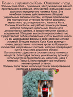 Полынь Кола с ароматом колы многолетник