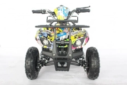 Электроквадроцикл Green Camel Гоби K21 (36V 800W R6 Цепной привод)