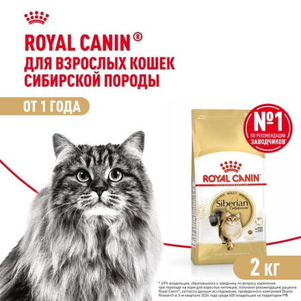 Royal Canin Siberian Adult Сибирская Эдалт Корм сухой для взрослых кошек сибирской породы от 1 года и старше 2кг