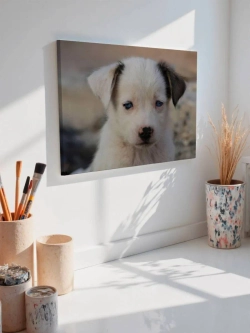 Картина на стену 40 X 50 Щенок