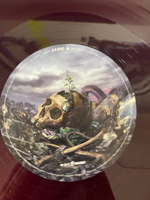 Stratovarius / Survive (Coloured Vinyl)(2LP)