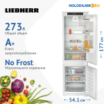 Встраиваемый двухкамерный холодильник Liebherr ICNSf 5103-22 001 NoFrost белый