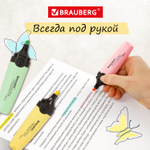 Набор текстовыделителей BRAUBERG 6 шт., АССОРТИ, «DELTA PASTEL», линия 1-5 мм.