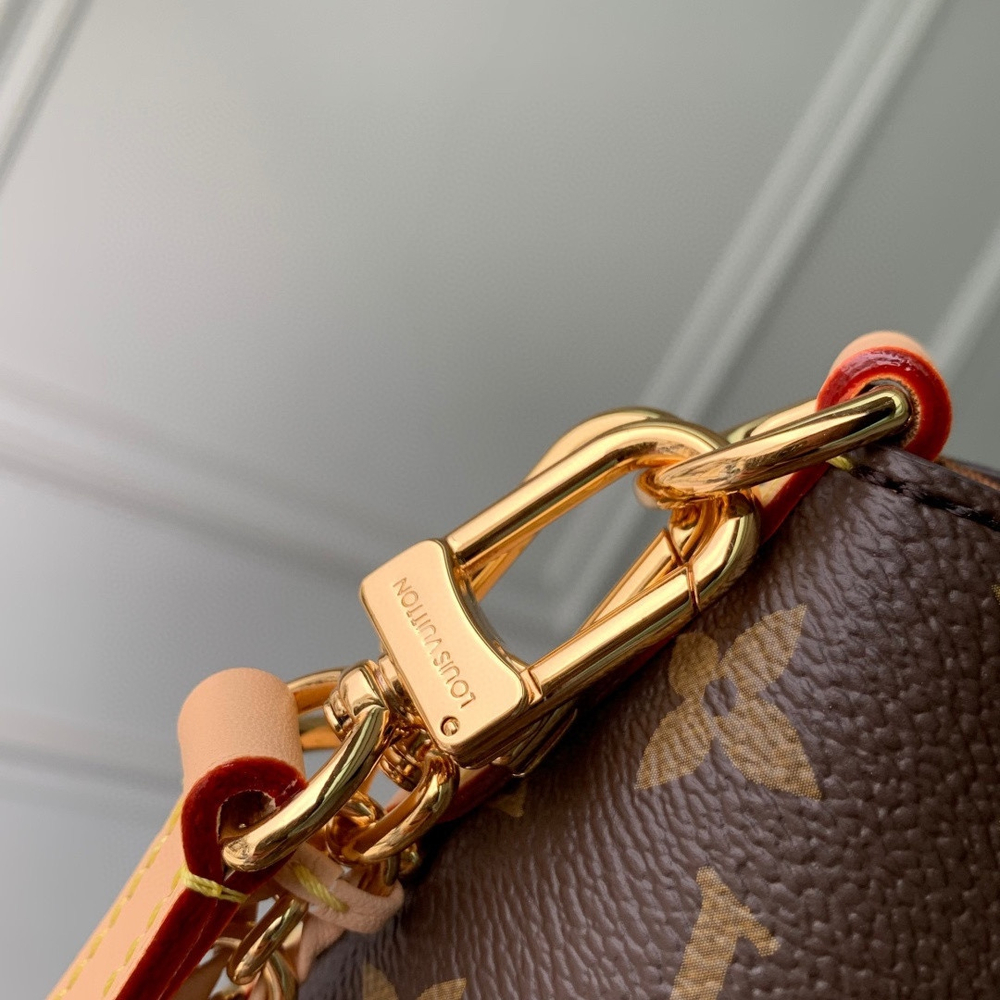 Louis Vuitton Multipass