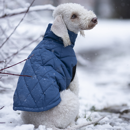 Куртка для собаки BananaDog